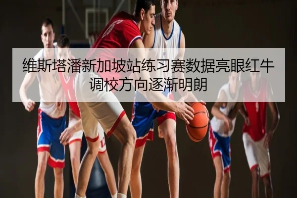维斯塔潘新加坡站练习赛数据亮眼红牛调校方向逐渐明朗