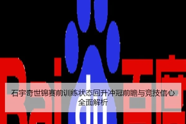 石宇奇世锦赛前训练状态回升冲冠前瞻与竞技信心全面解析